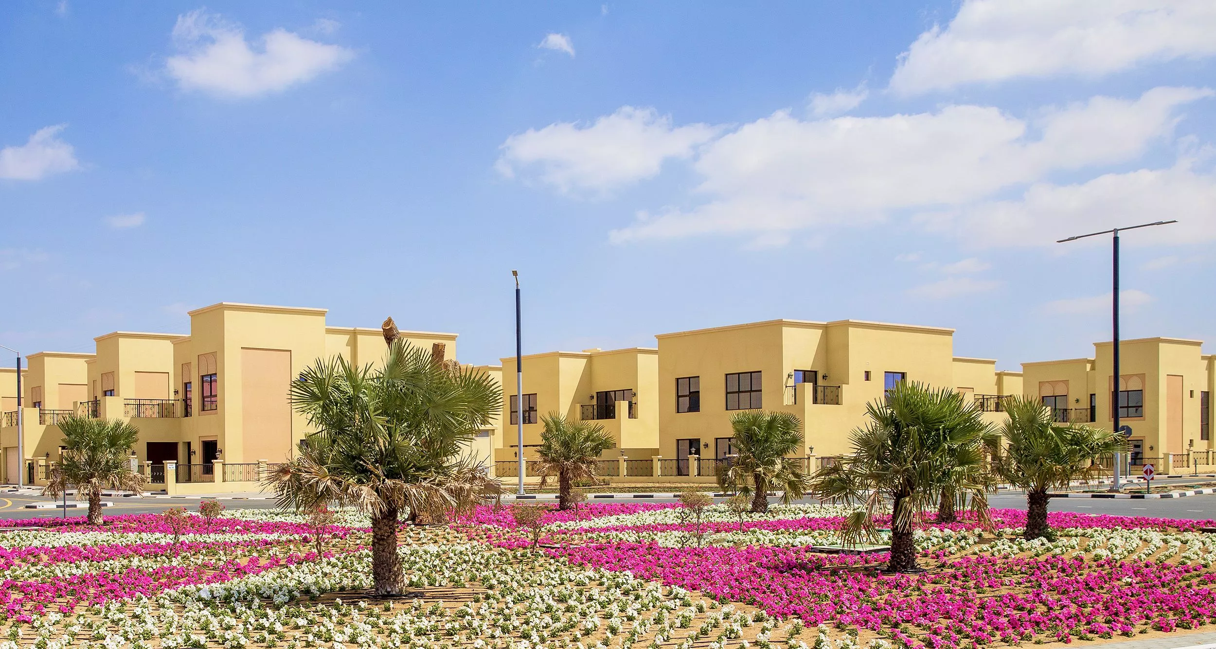 Nad Al Shiba 2