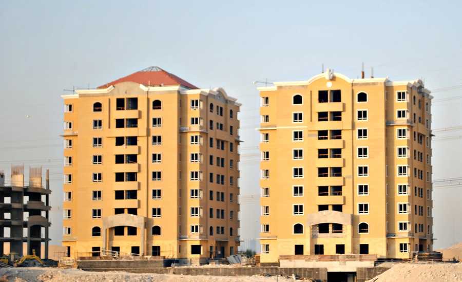 DUBAI LAGOON WINTERBERRY