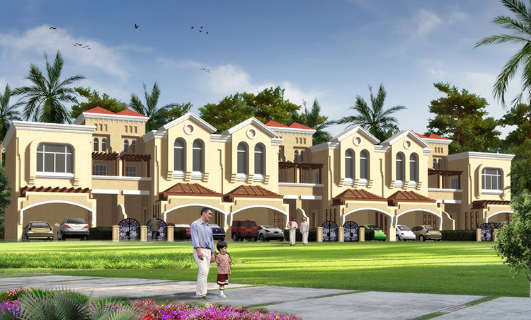 Sahara Savings